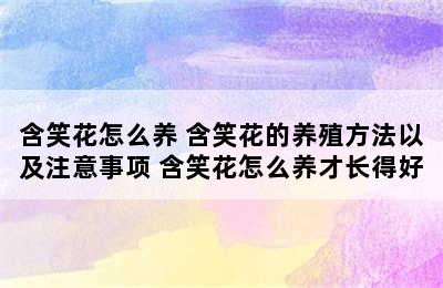 含笑花怎么养 含笑花的养殖方法以及注意事项 含笑花怎么养才长得好